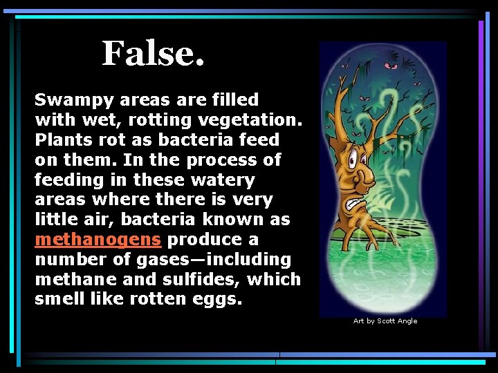 False. Swampy areas are filled with wet, rotting vegetation. Plants rot as bacteria feed