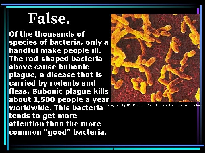 False. Of the thousands of species of bacteria, only a handful make people ill.