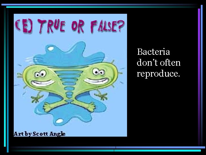  Bacteria don’t often reproduce. 