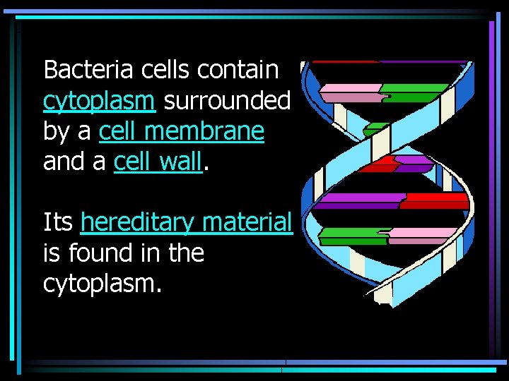 Bacteria cells contain cytoplasm surrounded by a cell membrane and a cell wall. Its