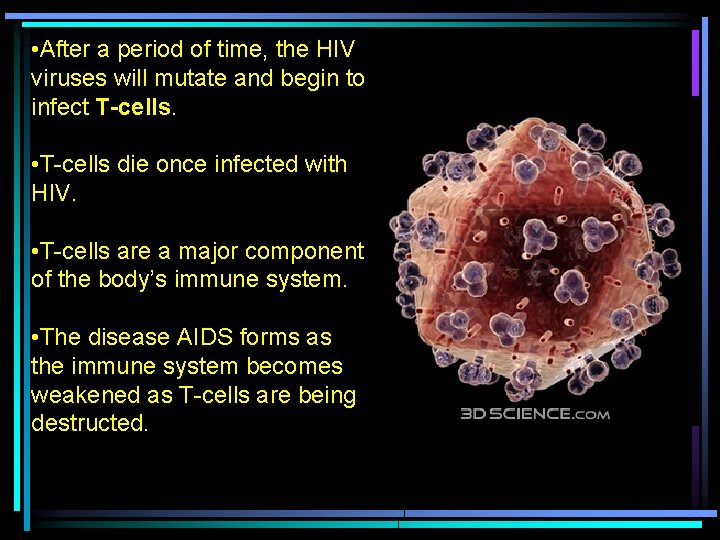  • After a period of time, the HIV viruses will mutate and begin