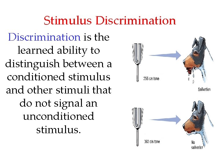 Stimulus Discrimination is the learned ability to distinguish between a conditioned stimulus and other