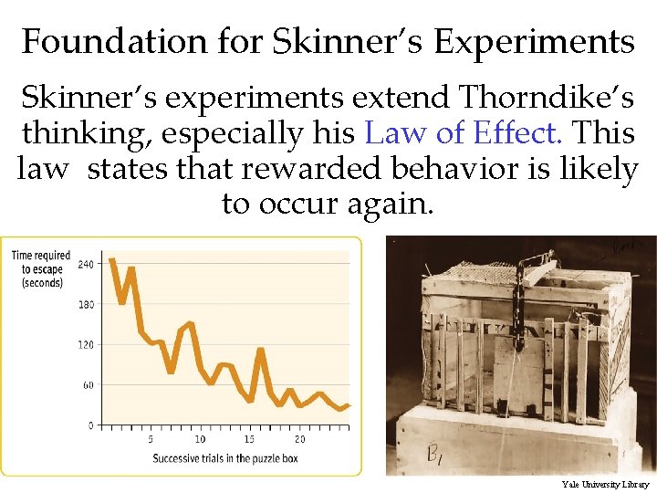 Foundation for Skinner’s Experiments Skinner’s experiments extend Thorndike’s thinking, especially his Law of Effect.