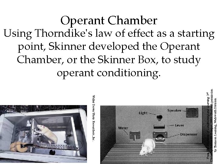 Operant Chamber Walter Dawn/ Photo Researchers, Inc. 41 From The Essentials of Conditioning and