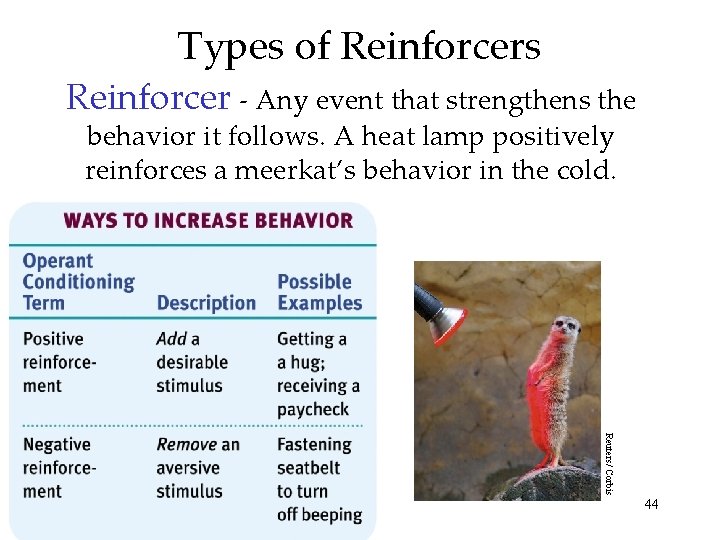 Types of Reinforcers Reinforcer - Any event that strengthens the behavior it follows. A
