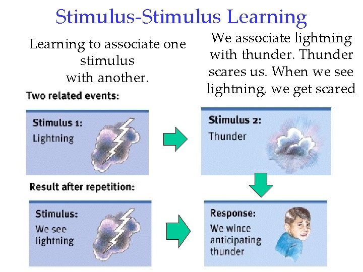 Stimulus-Stimulus Learning to associate one stimulus with another. We associate lightning with thunder. Thunder
