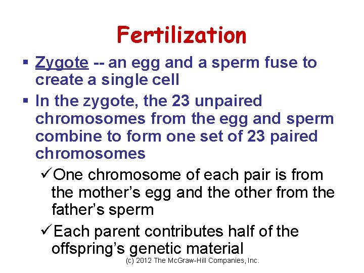 Fertilization § Zygote -- an egg and a sperm fuse to create a single