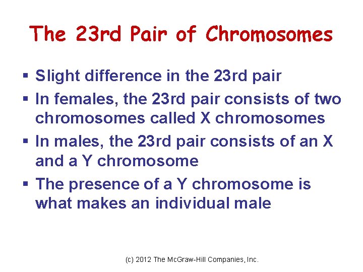 The 23 rd Pair of Chromosomes § Slight difference in the 23 rd pair