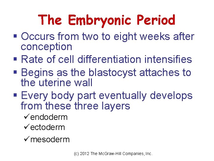 The Embryonic Period § Occurs from two to eight weeks after conception § Rate