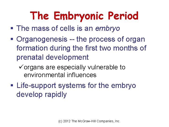 The Embryonic Period § The mass of cells is an embryo § Organogenesis --