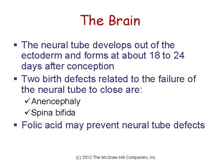 The Brain § The neural tube develops out of the ectoderm and forms at