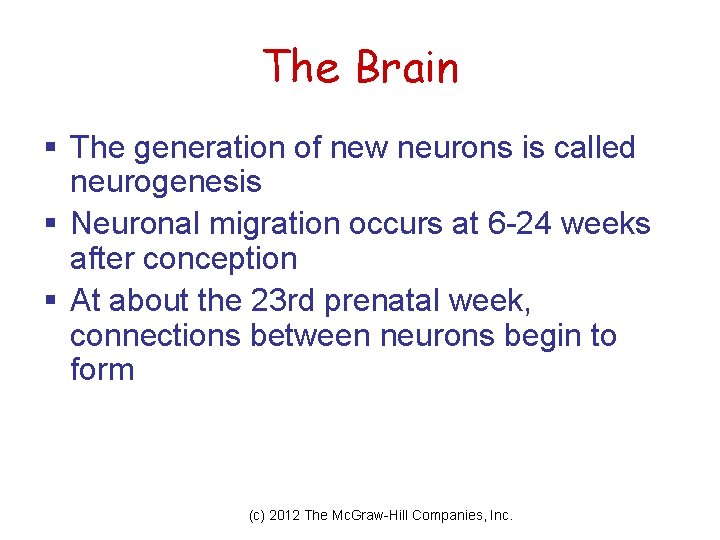 The Brain § The generation of new neurons is called neurogenesis § Neuronal migration