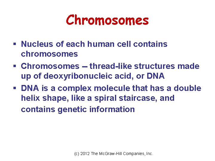 Chromosomes § Nucleus of each human cell contains chromosomes § Chromosomes -- thread-like structures