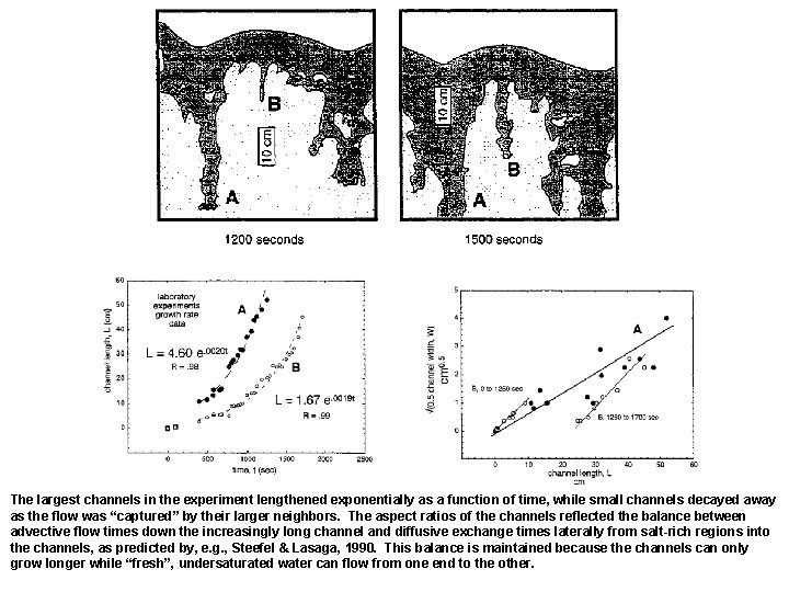 The largest channels in the experiment lengthened exponentially as a function of time, while