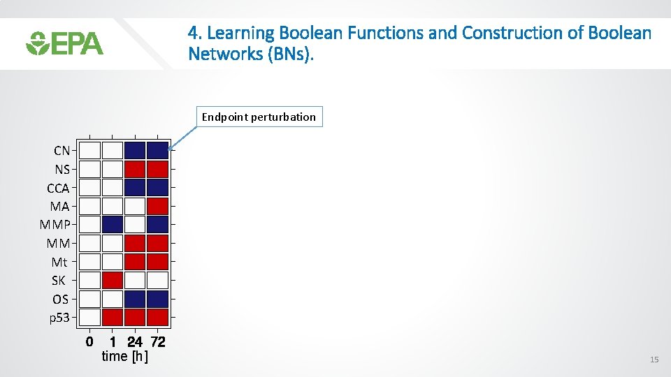 4. Learning Boolean Functions and Construction of Boolean Networks (BNs). Endpoint perturbation CN NS