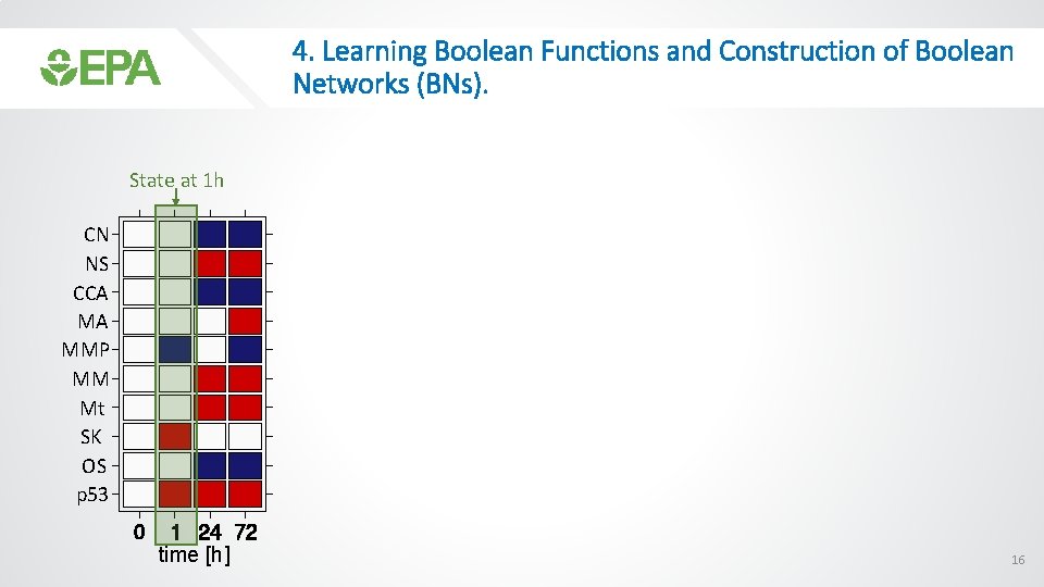 4. Learning Boolean Functions and Construction of Boolean Networks (BNs). State at 1 h