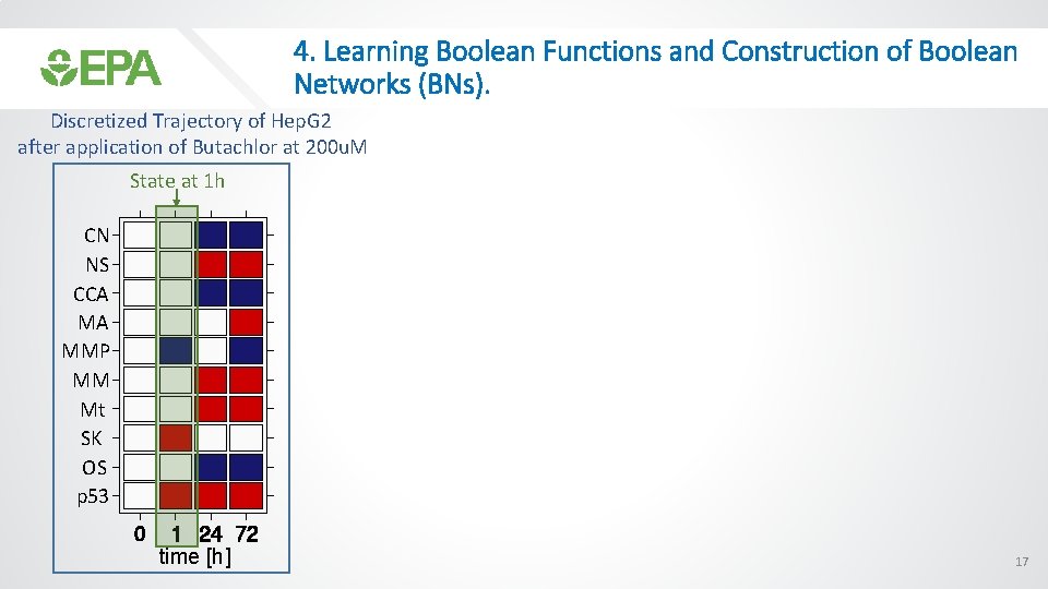 4. Learning Boolean Functions and Construction of Boolean Networks (BNs). Discretized Trajectory of Hep.