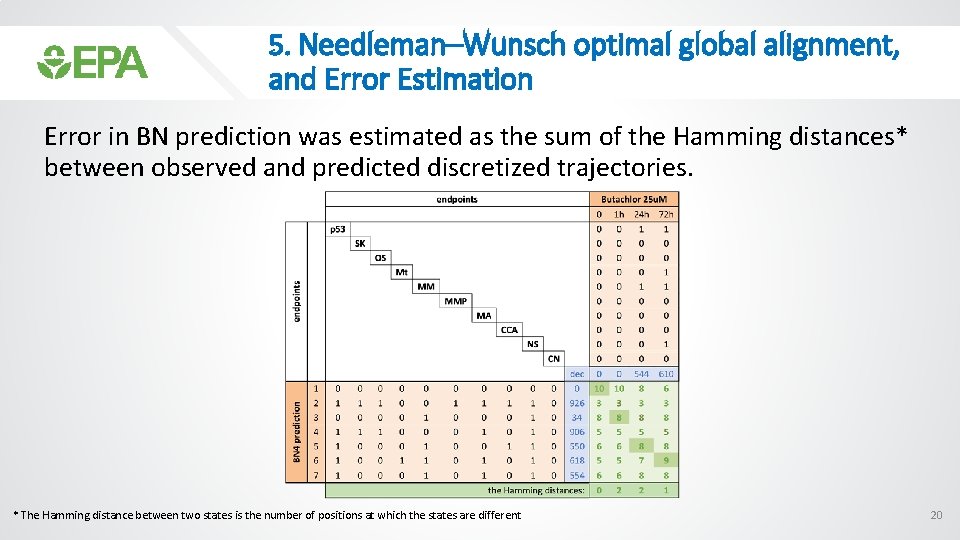 5. Needleman–Wunsch optimal global alignment, and Error Estimation Error in BN prediction was estimated