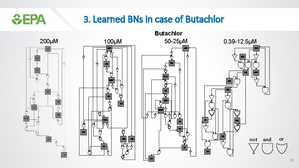 3. Learned BNs in case of Butachlor 200µM 100µM Butachlor 50 -25µM 0. 39