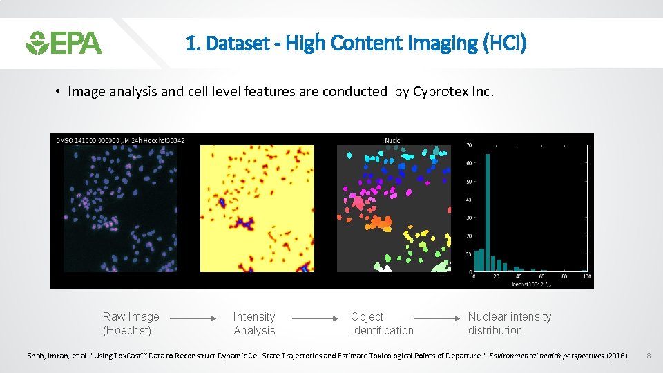 1. Dataset - High Content Imaging (HCI) • Image analysis and cell level features