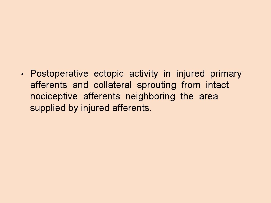  • Postoperative ectopic activity in injured primary afferents and collateral sprouting from intact