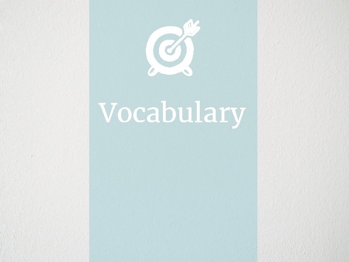 Vocabulary 