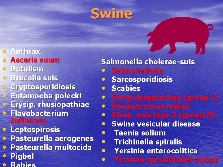 Swine • • • Anthrax Ascaris suum Botulism Brucella suis Cryptosporidiosis Entamoeba polecki Erysip.