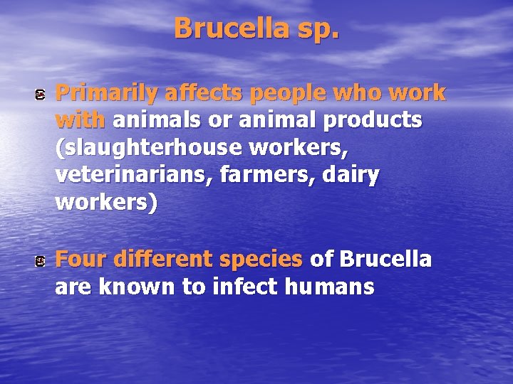 Brucella sp. Primarily affects people who work with animals or animal products (slaughterhouse workers,