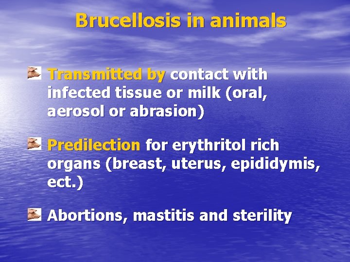 Brucellosis in animals Transmitted by contact with infected tissue or milk (oral, aerosol or