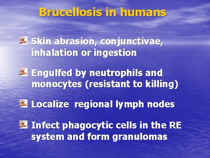 Brucellosis in humans Skin abrasion, conjunctivae, inhalation or ingestion Engulfed by neutrophils and monocytes