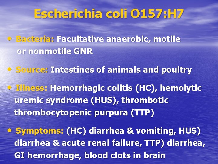 Escherichia coli O 157: H 7 • Bacteria: Facultative anaerobic, motile or nonmotile GNR