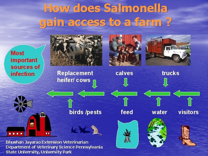 How does Salmonella gain access to a farm ? Most important sources of infection