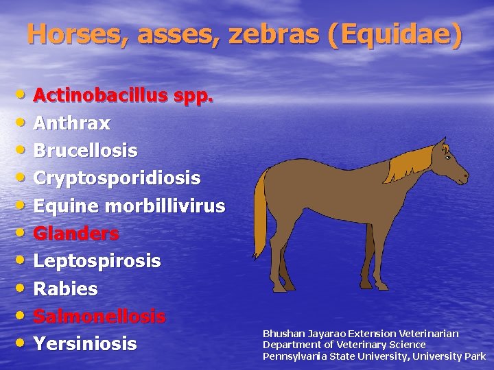 Horses, asses, zebras (Equidae) • Actinobacillus spp. • Anthrax • Brucellosis • Cryptosporidiosis •