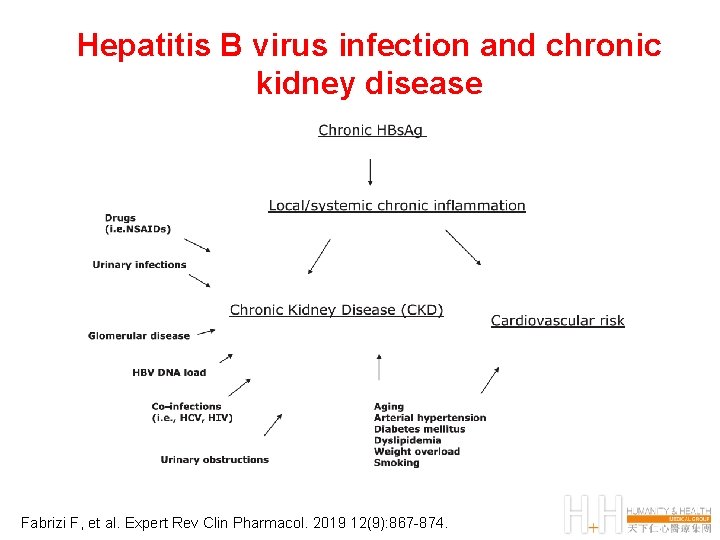 Hepatitis B virus infection and chronic kidney disease Fabrizi F, et al. Expert Rev