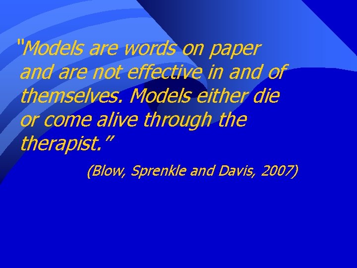 “Models are words on paper and are not effective in and of themselves. Models
