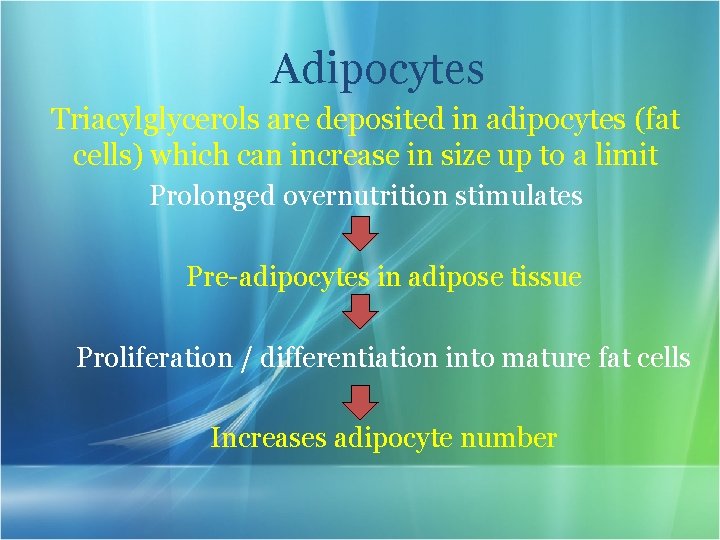 Adipocytes Triacylglycerols are deposited in adipocytes (fat cells) which can increase in size up