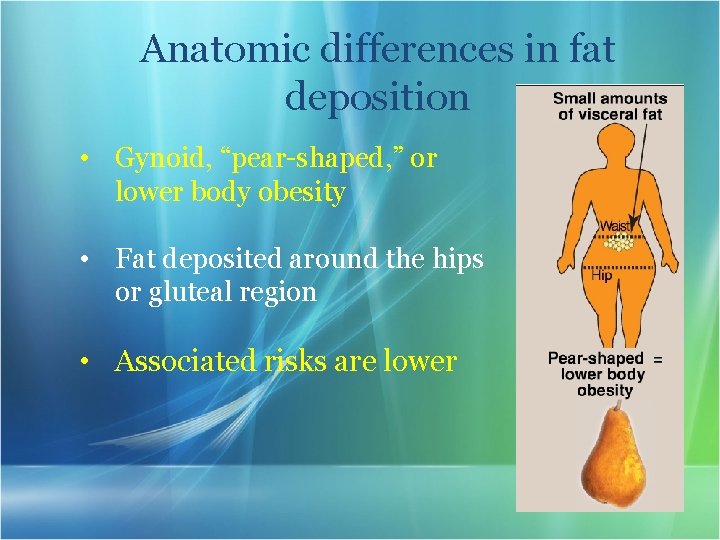 Anatomic differences in fat deposition • Gynoid, “pear-shaped, ” or lower body obesity •
