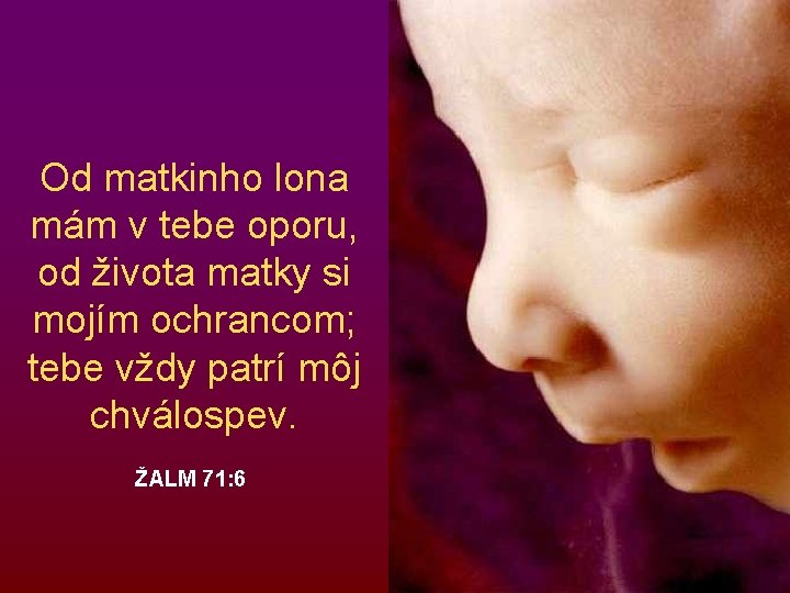 Od matkinho lona mám v tebe oporu, od života matky si mojím ochrancom; tebe