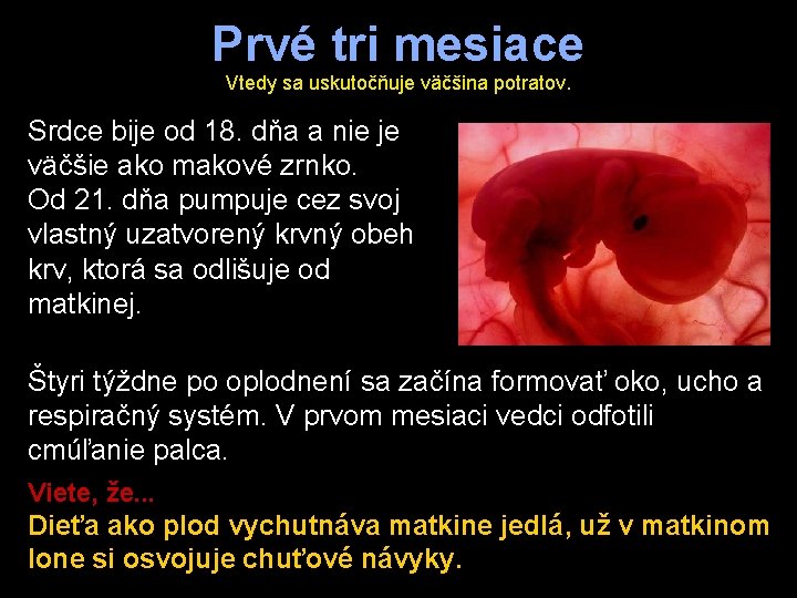 Prvé tri mesiace Vtedy sa uskutočňuje väčšina potratov. Srdce bije od 18. dňa a