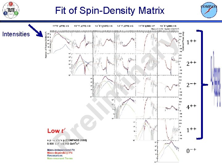 Fit of Spin-Density Matrix Intensities 