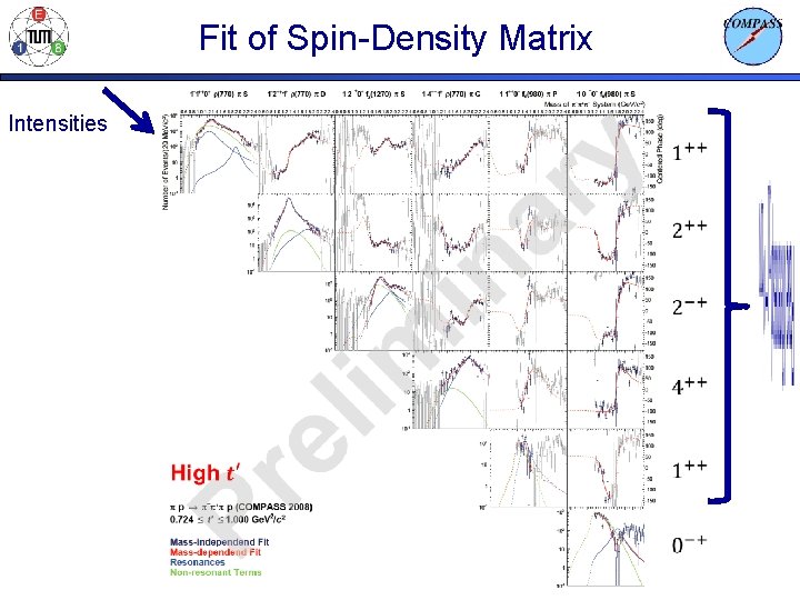 Fit of Spin-Density Matrix Intensities 
