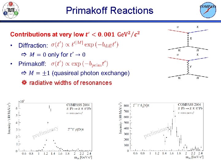 Primakoff Reactions ] radiative widths of resonances 