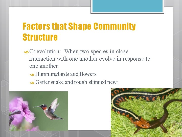 Factors that Shape Community Structure Coevolution: When two species in close interaction with one
