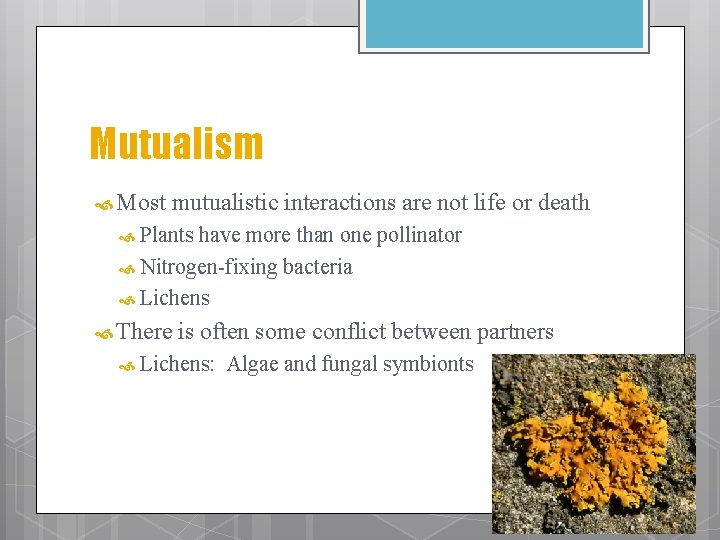 Mutualism Most mutualistic interactions are not life or death Plants have more than one