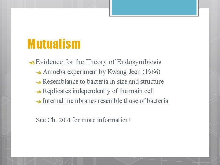 Mutualism Evidence for the Theory of Endosymbiosis Amoeba experiment by Kwang Jeon (1966) Resemblance