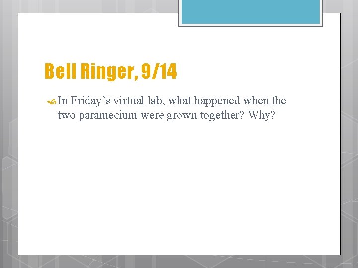 Bell Ringer, 9/14 In Friday’s virtual lab, what happened when the two paramecium were