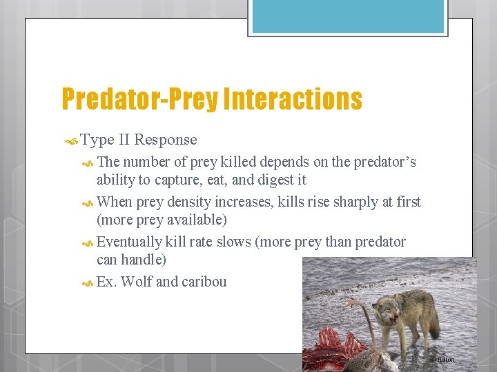 Predator-Prey Interactions Type II Response The number of prey killed depends on the predator’s