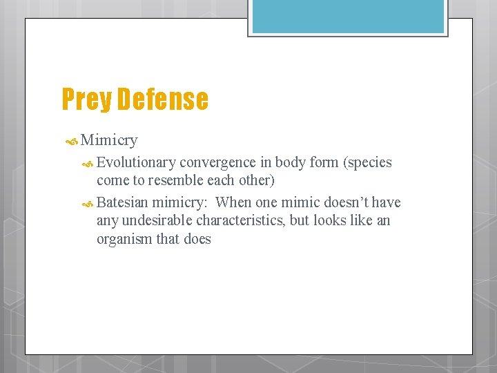 Prey Defense Mimicry Evolutionary convergence in body form (species come to resemble each other)