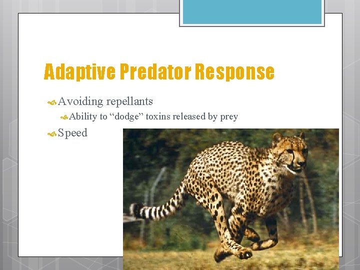 Adaptive Predator Response Avoiding Ability Speed repellants to “dodge” toxins released by prey 