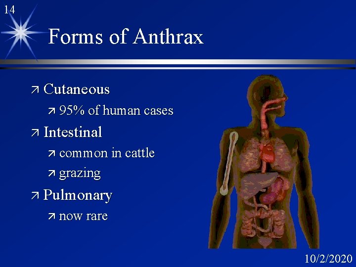 14 Forms of Anthrax ä Cutaneous ä 95% of human cases ä Intestinal ä